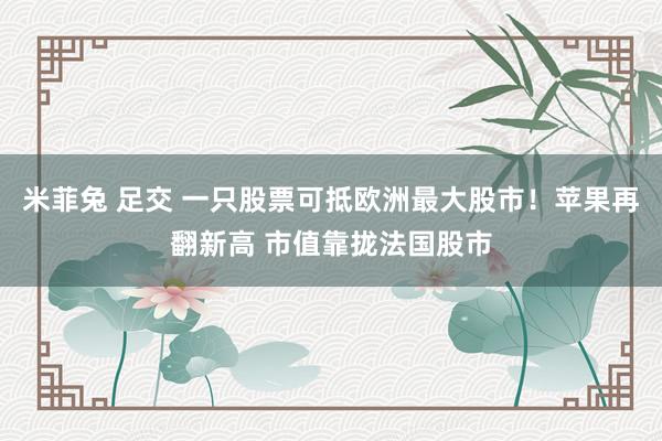 米菲兔 足交 一只股票可抵欧洲最大股市!苹果再翻新高 市值靠拢法国股市
