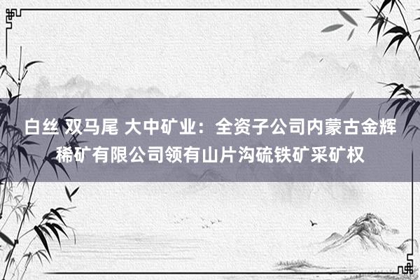 白丝 双马尾 大中矿业:全资子公司内蒙古金辉稀矿有限公司领有山片沟硫铁矿采矿权