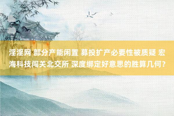 淫淫网 部分产能闲置 募投扩产必要性被质疑 宏海科技闯关北交所 深度绑定好意思的胜算几何？