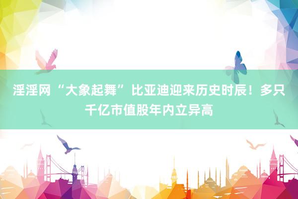 淫淫网 “大象起舞” 比亚迪迎来历史时辰!多只千亿市值股年内立异高