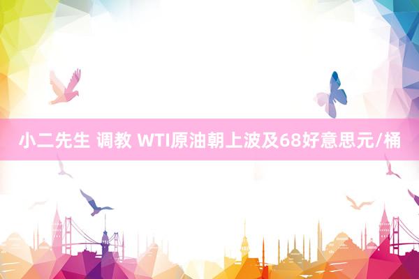 小二先生 调教 WTI原油朝上波及68好意思元/桶